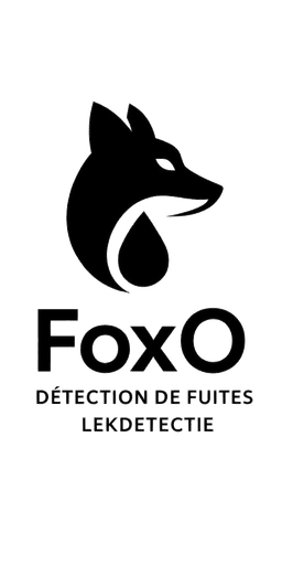 FoxO