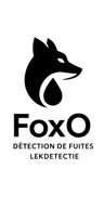 FoxO